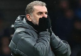 Banyak Penggemar Spurs Menyalahkan Levy