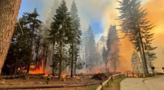 Kebakaran Melanda Hutan California Selatan Lebih Dari Satu Dekade