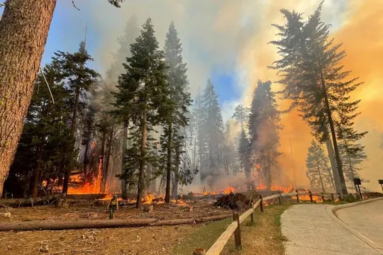 Kebakaran Melanda Hutan California Selatan Lebih Dari Satu Dekade