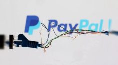 PayPal Dituduh Melakukan Bias Rasial Terhadap Warga Amerika Keturunan Asia