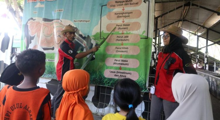 Kegembiraan Anak-anak dalam Wisata Edukasi di Kampung Susu Tulungagung