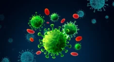 Hati-Hati! Virus Baru dari China Ini Bisa Jadi Ancaman Pandemi, Namanya HKU5-CoV-2