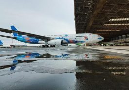 livery-baru-garuda-indonesia_169